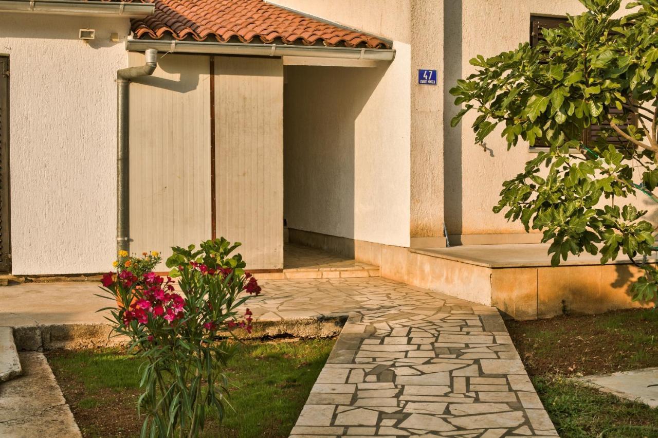 פאז'אנה Apartman Tanja מראה חיצוני תמונה