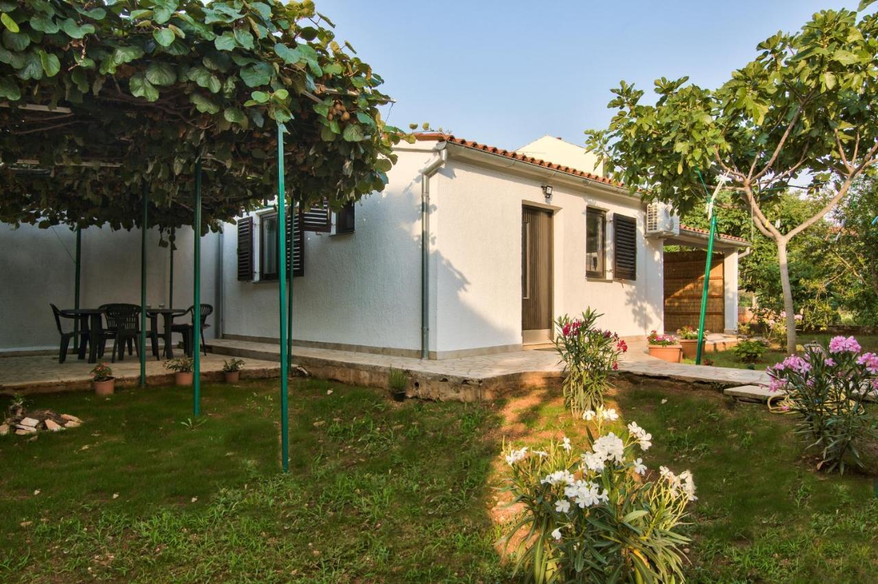 פאז'אנה Apartman Tanja מראה חיצוני תמונה