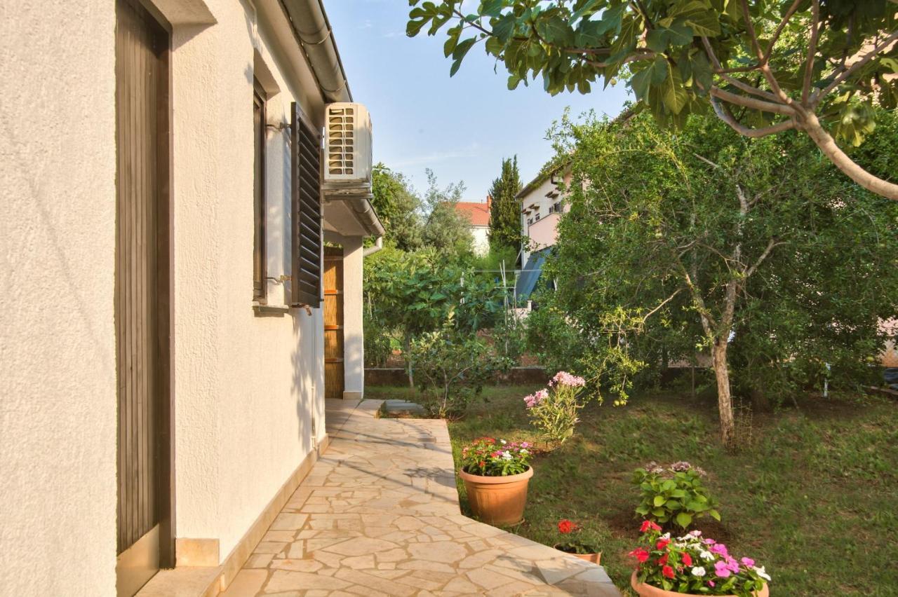 פאז'אנה Apartman Tanja מראה חיצוני תמונה